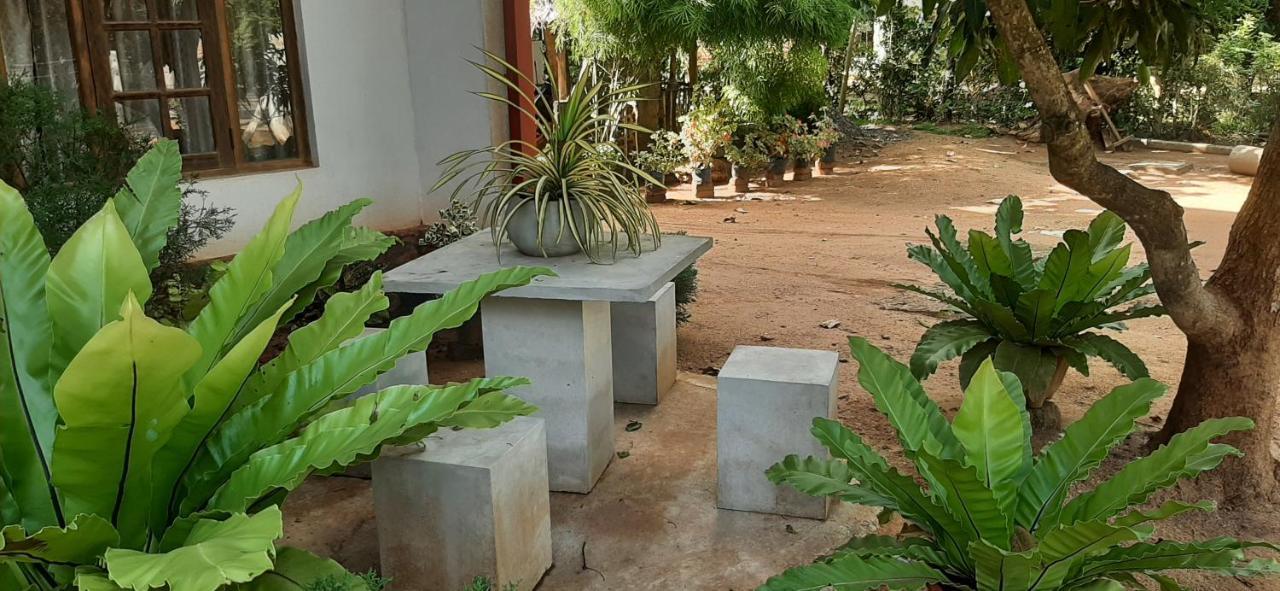 Treasure House Tourist Rest Hotel Anuradhapura Eksteriør billede